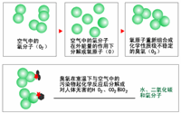 臭氧消毒器的結構是怎樣的？